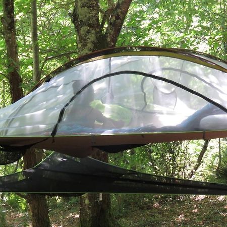 Tente Suspendue Au Coeur De La Foret Sainte-Croix-Volvestre Kültér fotó
